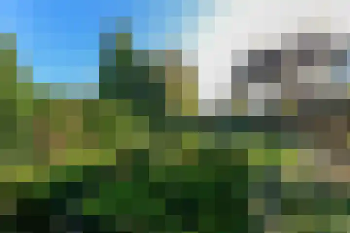 De Bisweide 34 Grubbenvorst thumbnail 29