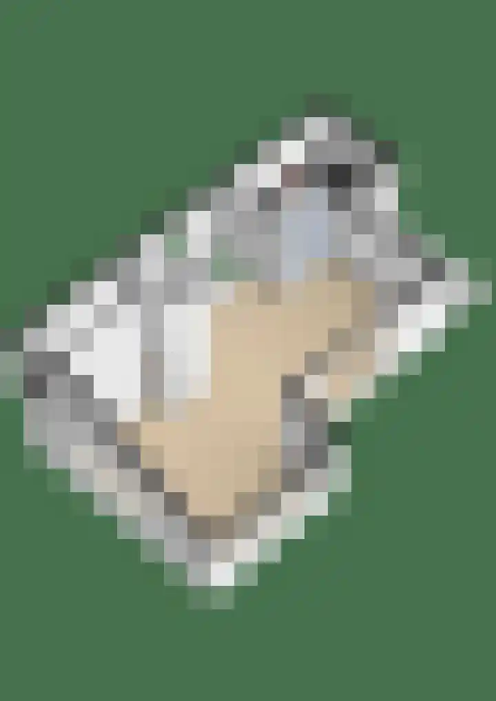 De Bisweide 34 Grubbenvorst thumbnail 32