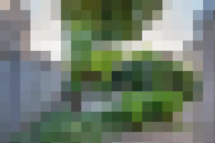 De Bisweide 8 Grubbenvorst thumbnail 20
