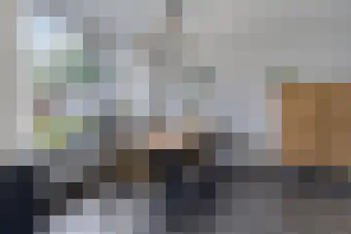 de Bittervoorn 10 Bergschenhoek thumbnail 11