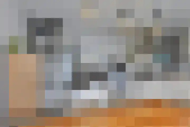 de Bittervoorn 10 Bergschenhoek thumbnail 12