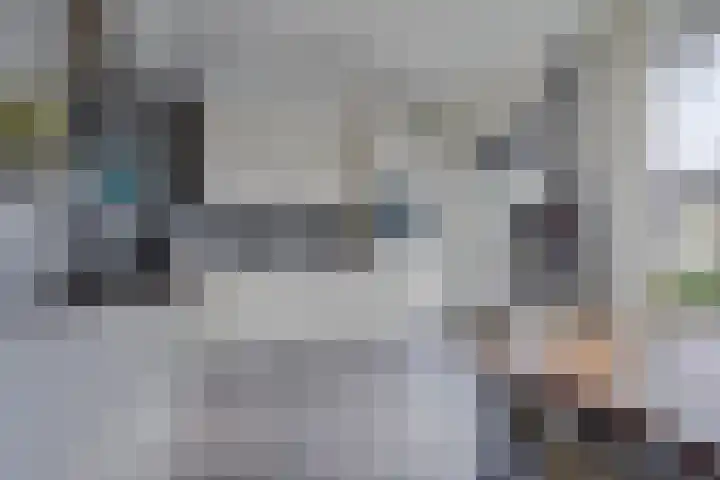 de Bittervoorn 10 Bergschenhoek thumbnail 13