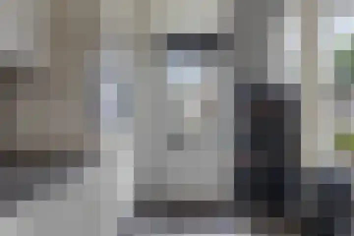 de Bittervoorn 10 Bergschenhoek thumbnail 16