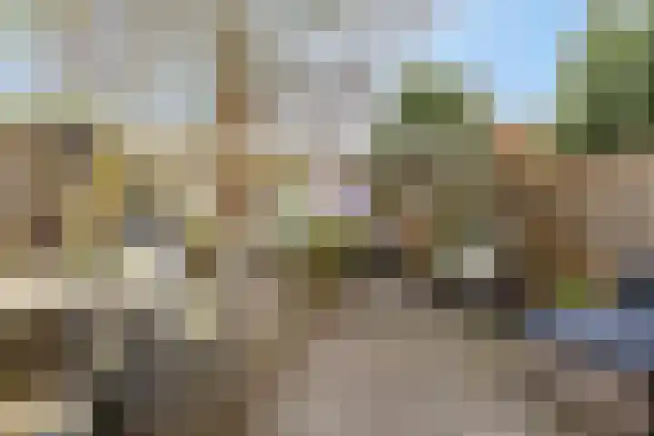 de Bittervoorn 10 Bergschenhoek thumbnail 17