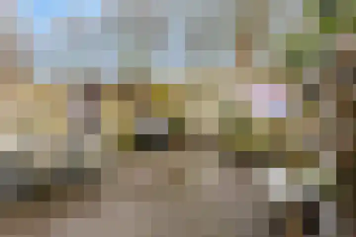de Bittervoorn 10 Bergschenhoek thumbnail 18