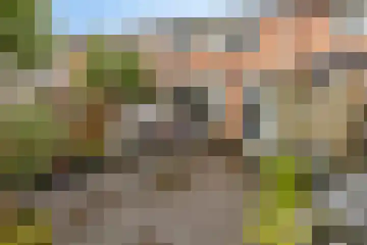 de Bittervoorn 10 Bergschenhoek thumbnail 19