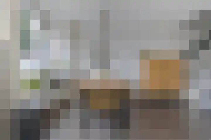 de Bittervoorn 10 Bergschenhoek thumbnail 20