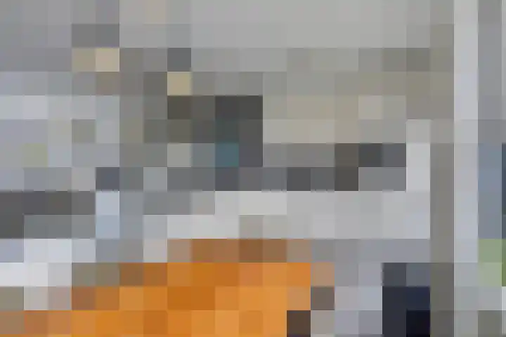 de Bittervoorn 10 Bergschenhoek thumbnail 21