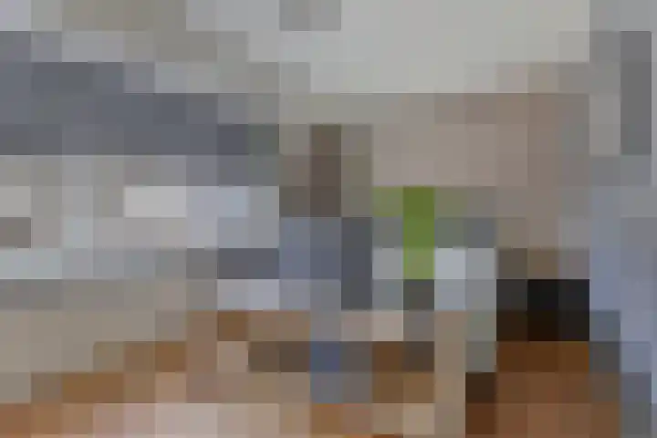 de Bittervoorn 10 Bergschenhoek thumbnail 23