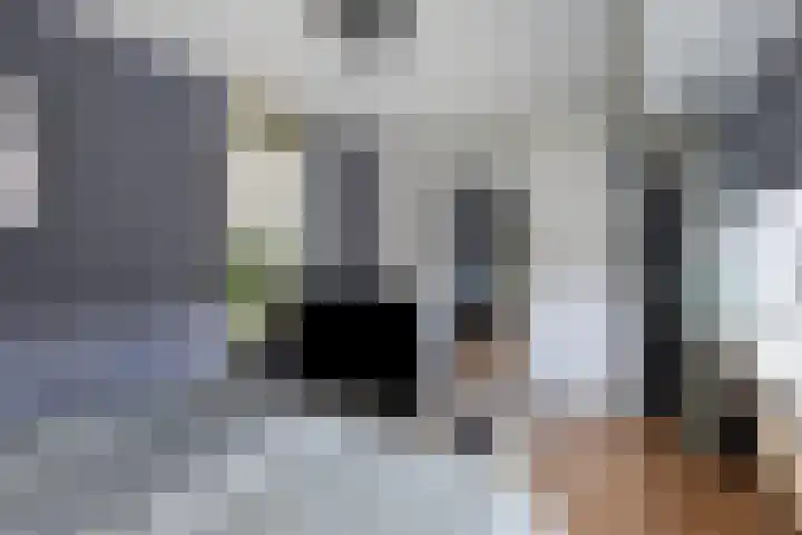 de Bittervoorn 10 Bergschenhoek thumbnail 24