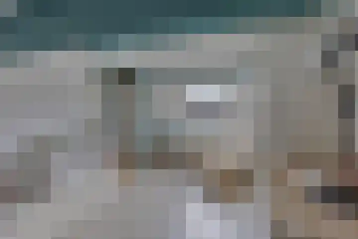 de Bittervoorn 10 Bergschenhoek thumbnail 32