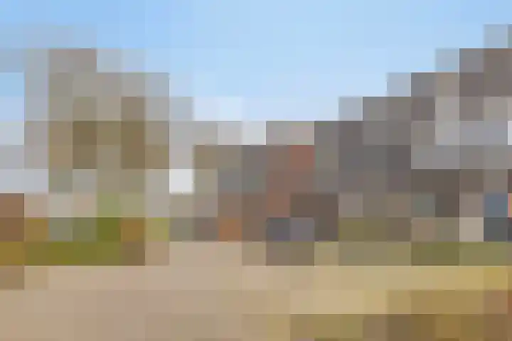 de Bittervoorn 10 Bergschenhoek thumbnail 33