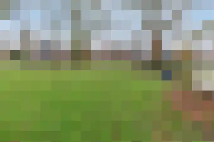 de Bittervoorn 10 Bergschenhoek thumbnail 34
