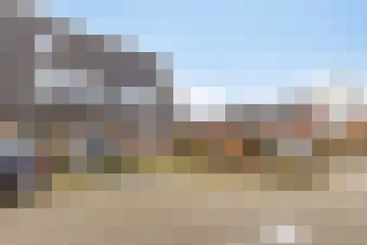 de Bittervoorn 10 Bergschenhoek thumbnail 4