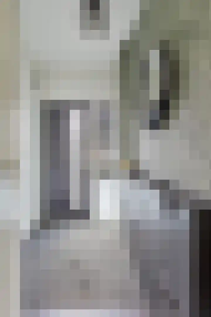de Bittervoorn 10 Bergschenhoek thumbnail 6