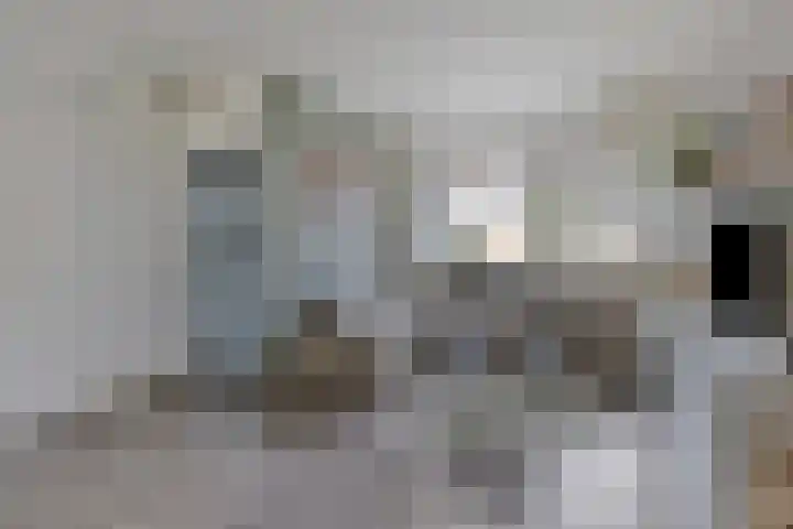 de Bittervoorn 10 Bergschenhoek thumbnail 9