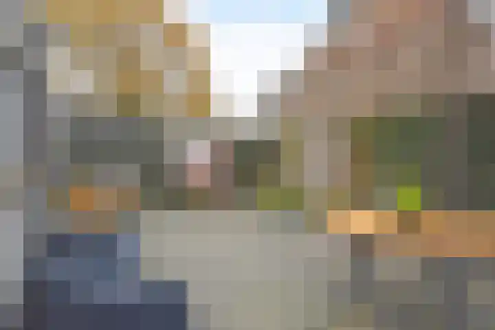 De Bjirk 30 Burgum thumbnail 14