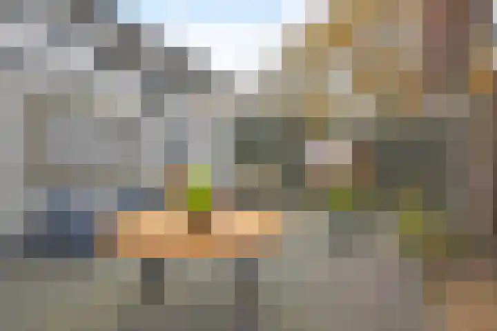 De Bjirk 30 Burgum thumbnail 15