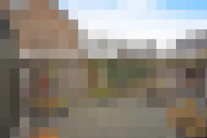 De Bjirk 30 Burgum thumbnail 17