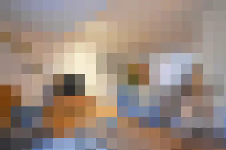 De Bjirk 30 Burgum thumbnail 30
