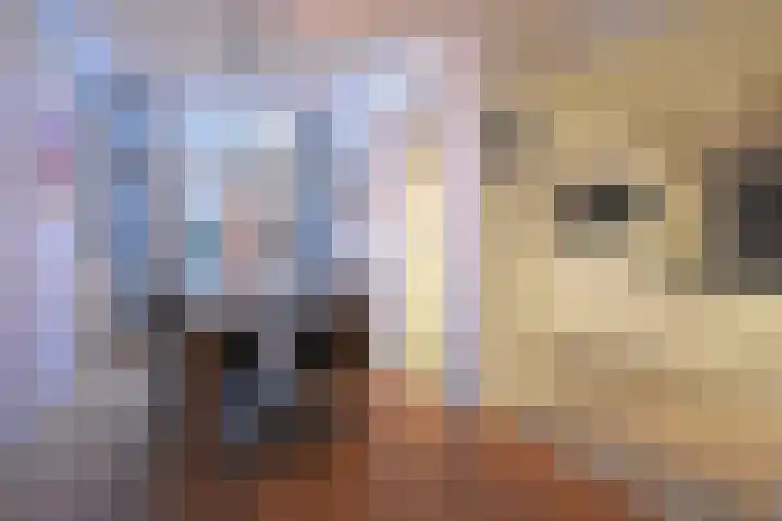 De Bjirk 30 Burgum thumbnail 35