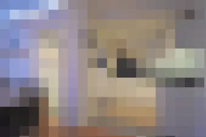 De Bjirk 30 Burgum thumbnail 36