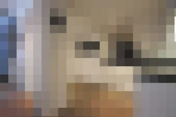 De Bjirk 30 Burgum thumbnail 38