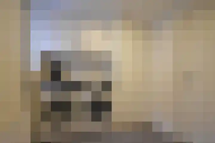 De Bjirk 30 Burgum thumbnail 39