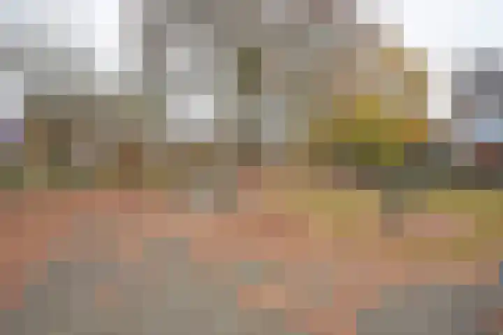 De Bjirk 30 Burgum thumbnail 4