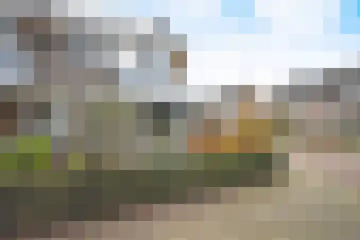 De Bjirk 30 Burgum thumbnail 5