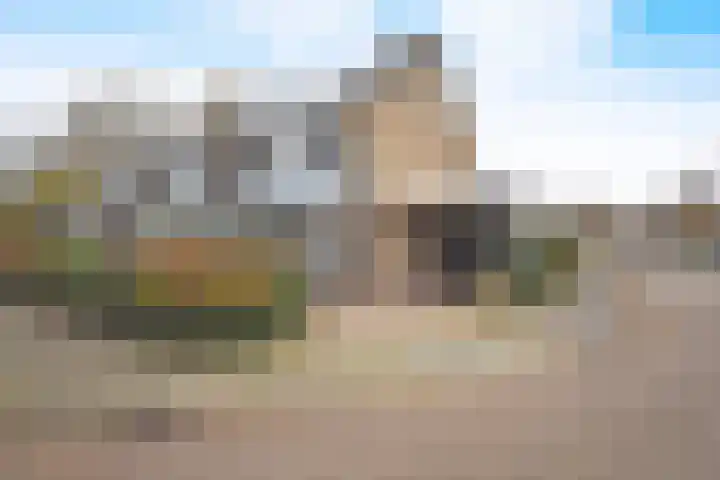 De Bjirk 30 Burgum thumbnail 6