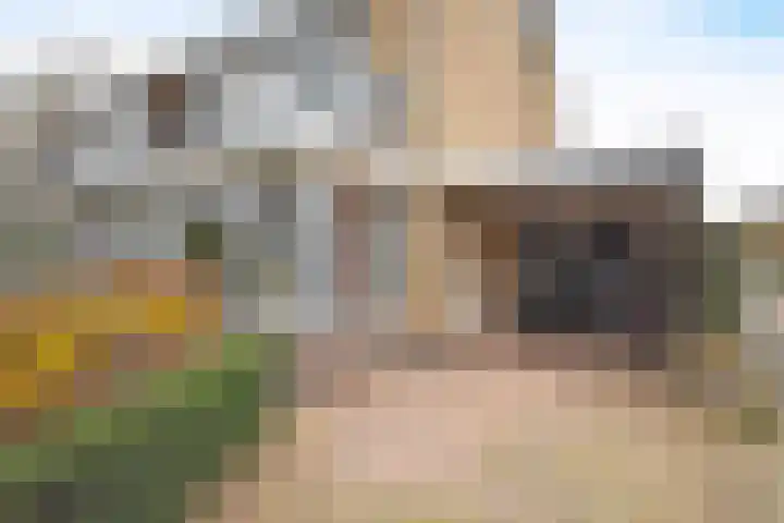 De Bjirk 30 Burgum thumbnail 8