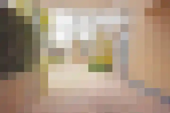 De Bjirk 30 Burgum thumbnail 9