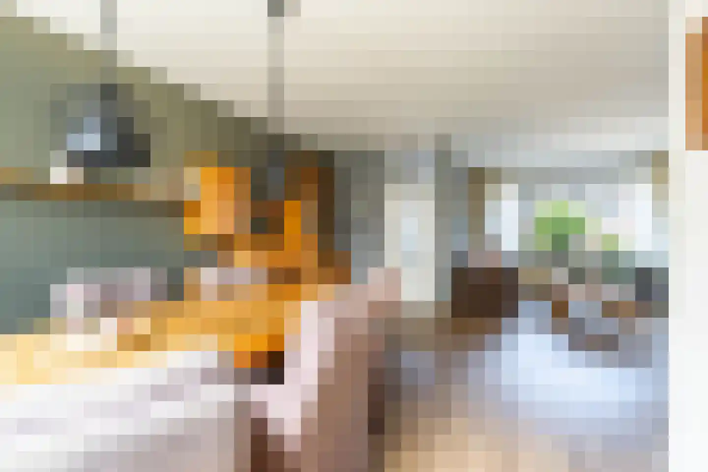 De Bjirken 51 Feanwâlden thumbnail 17