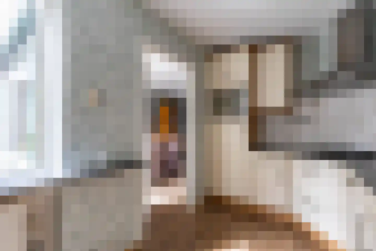 De Bjirken 51 Feanwâlden thumbnail 18