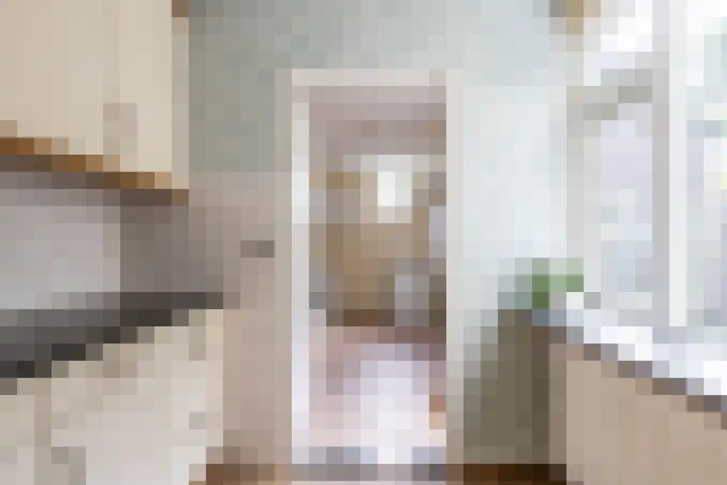 De Bjirken 51 Feanwâlden thumbnail 20