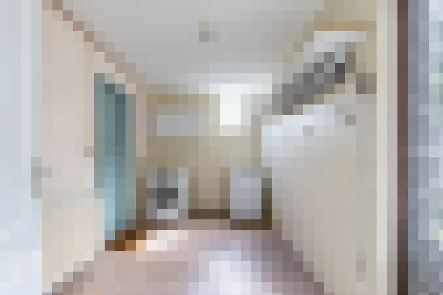 De Bjirken 51 Feanwâlden thumbnail 21