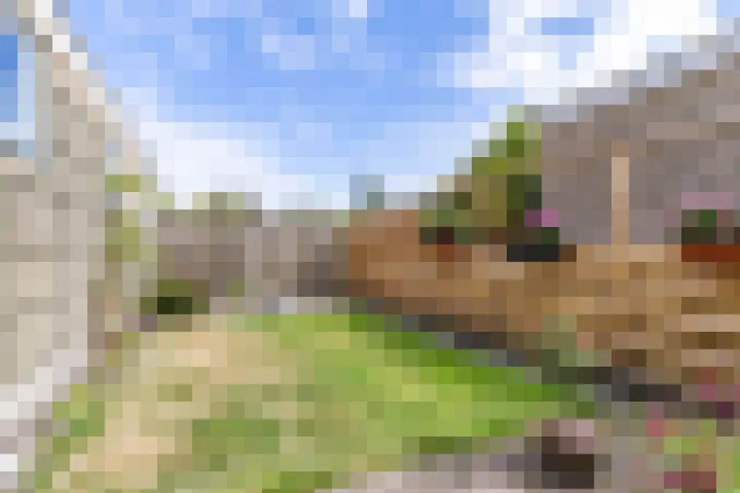 De Bjirken 51 Feanwâlden thumbnail 25