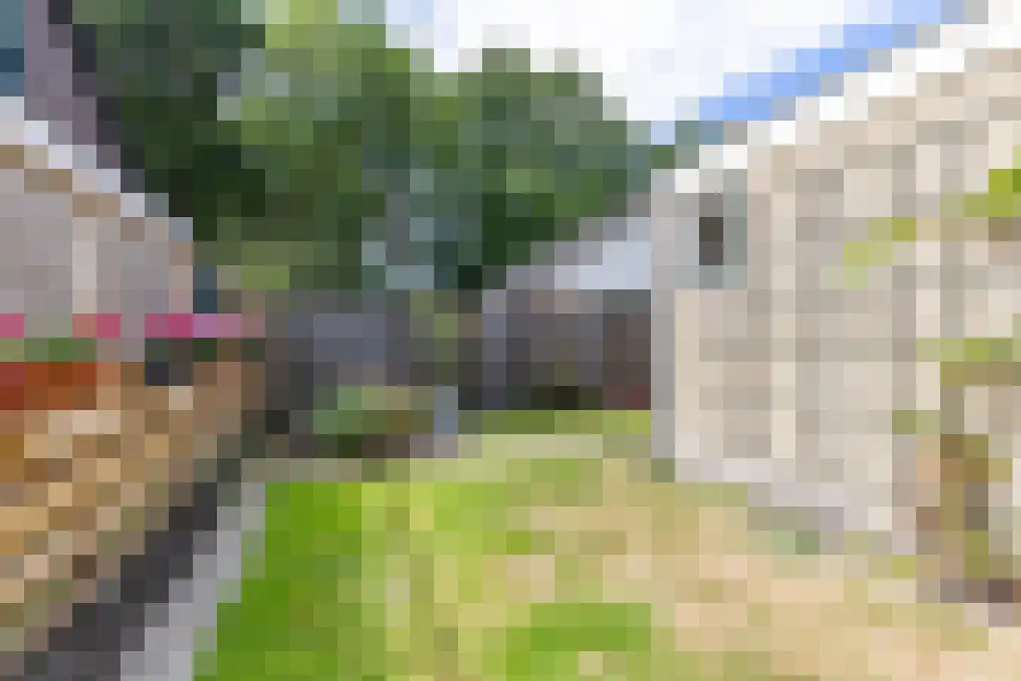 De Bjirken 51 Feanwâlden thumbnail 26