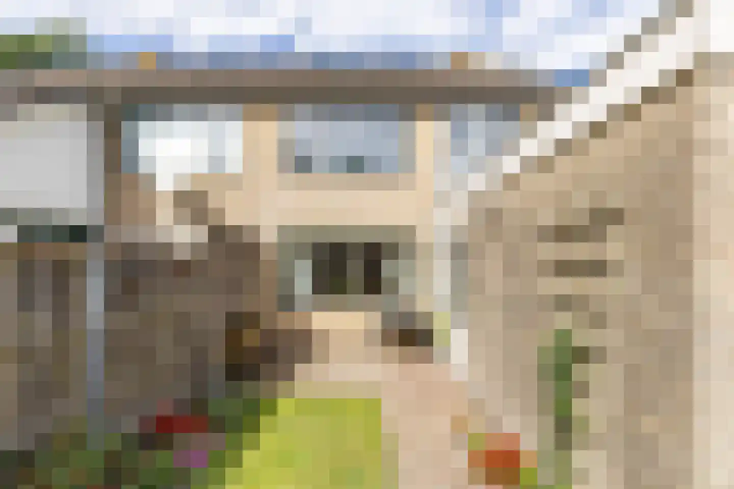De Bjirken 51 Feanwâlden thumbnail 27