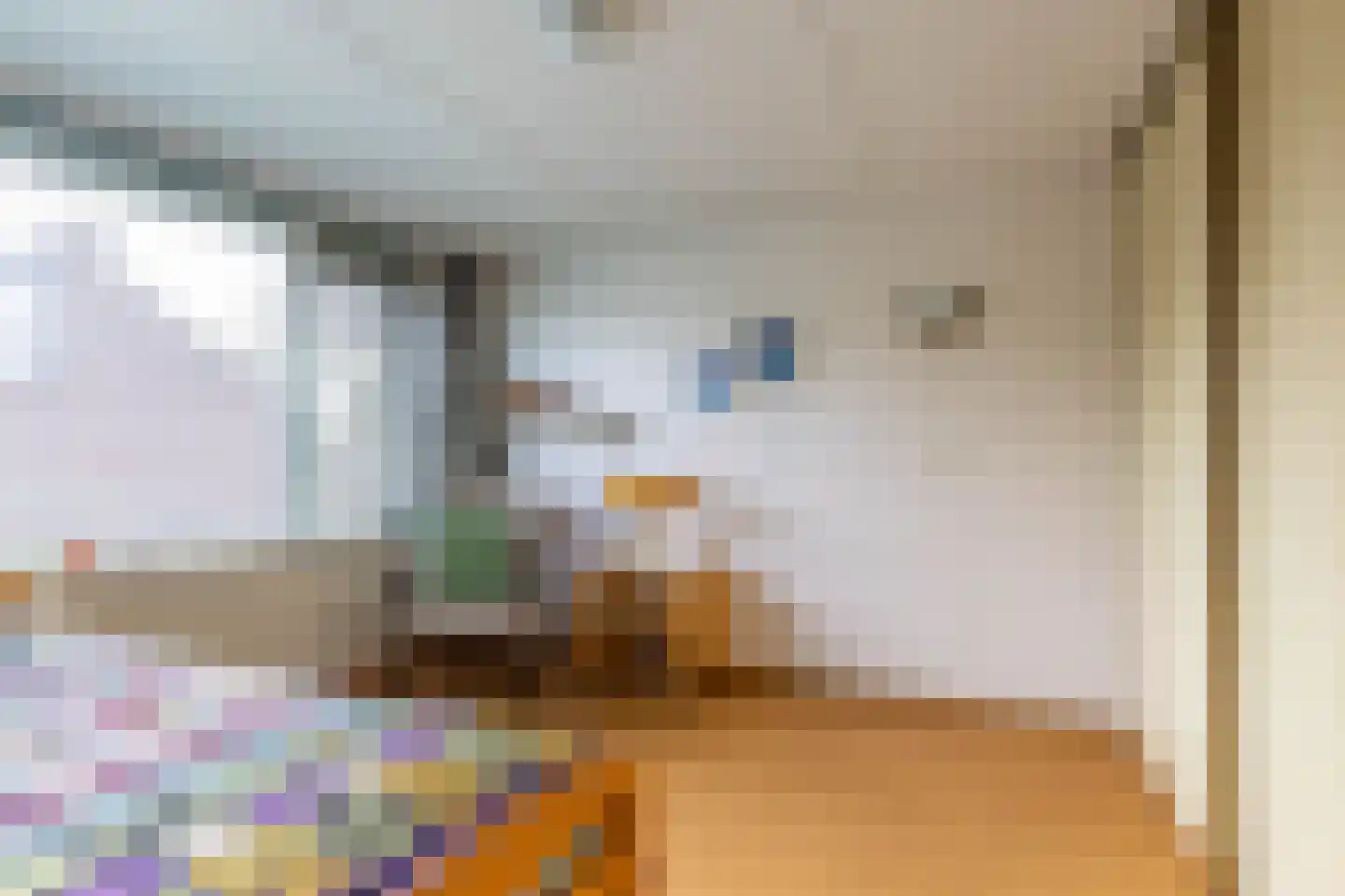 De Bjirken 51 Feanwâlden thumbnail 35