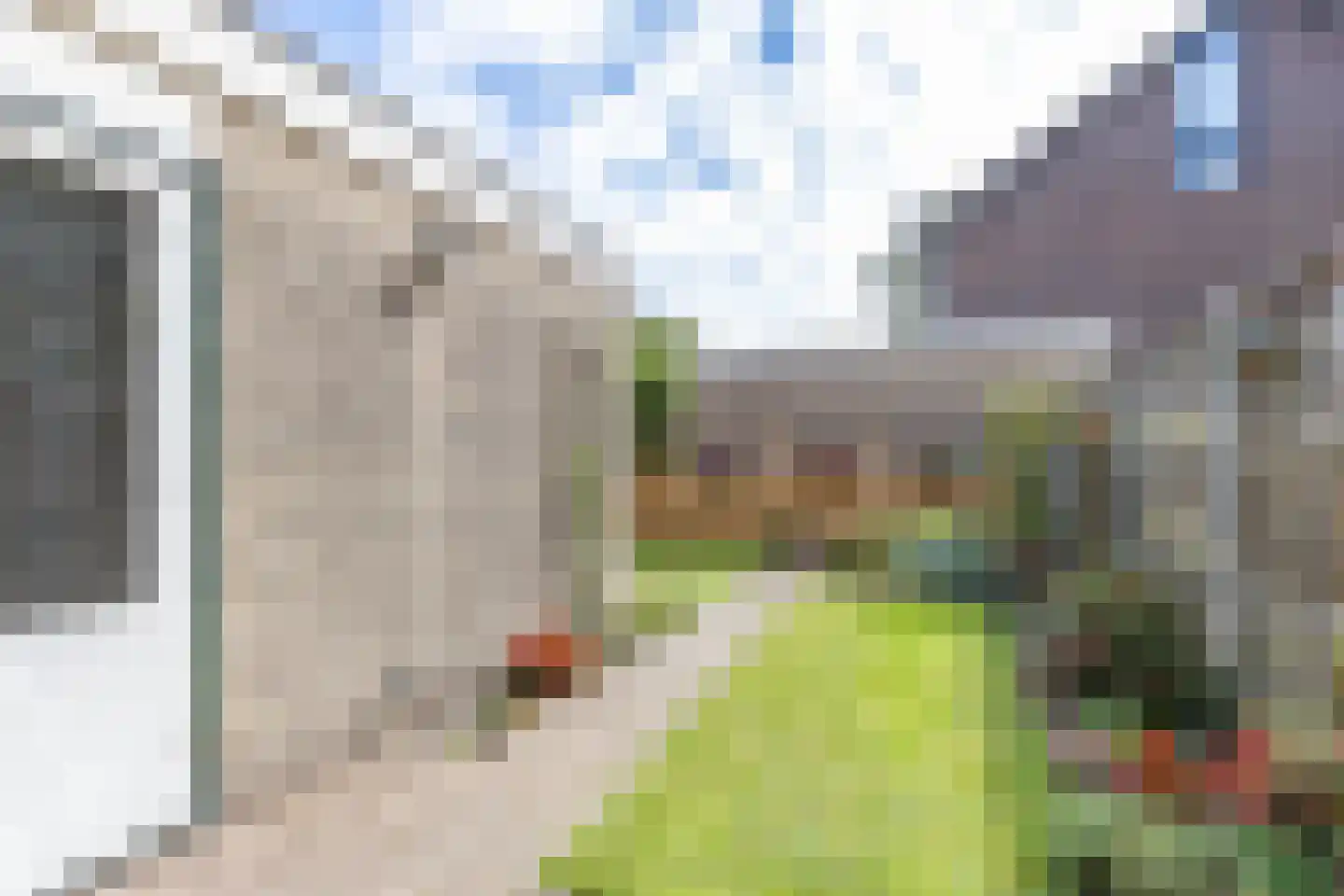 De Bjirken 51 Feanwâlden thumbnail 4