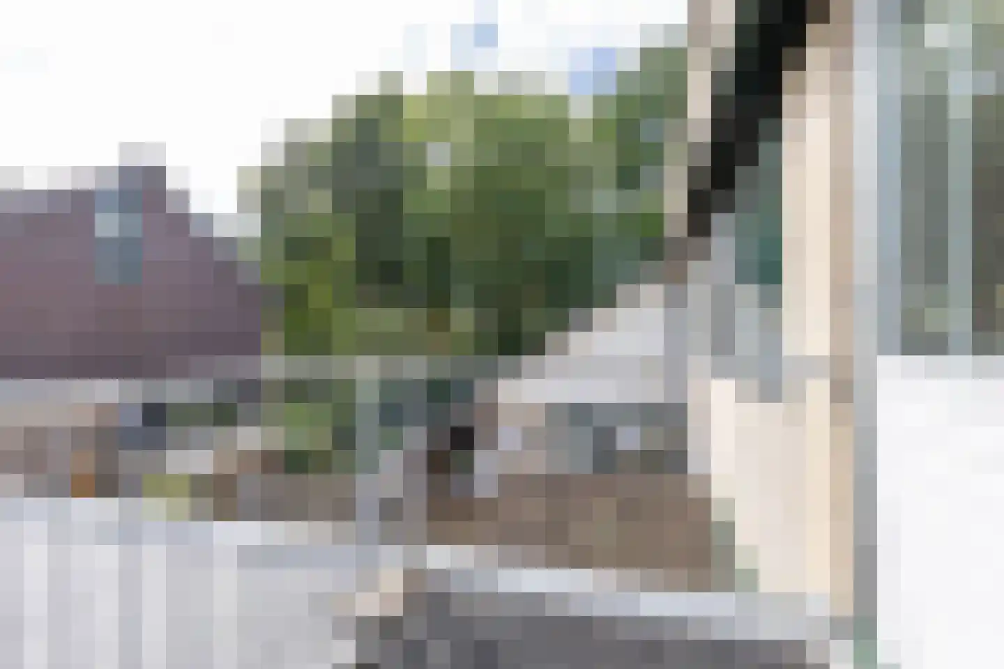 De Bjirken 51 Feanwâlden thumbnail 44