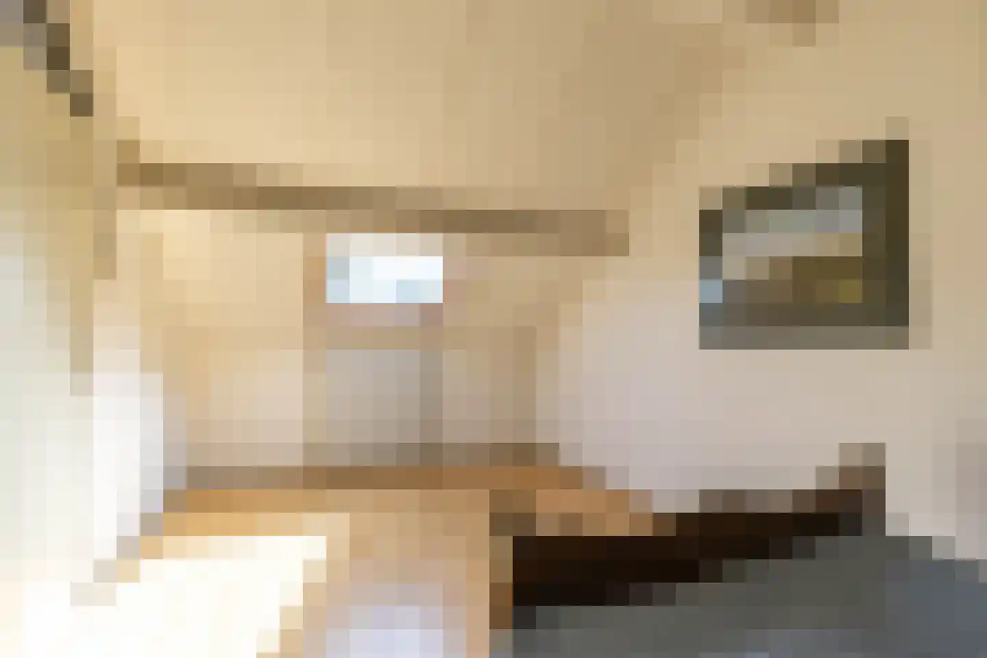 De Bjirken 51 Feanwâlden thumbnail 47