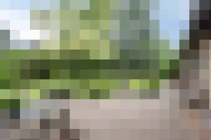 De Blaak 12 Eefde thumbnail 26