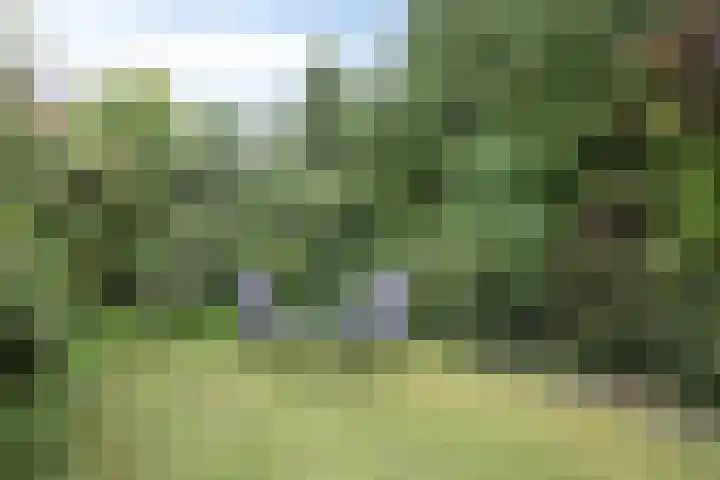De Blaak 12 Eefde thumbnail 27