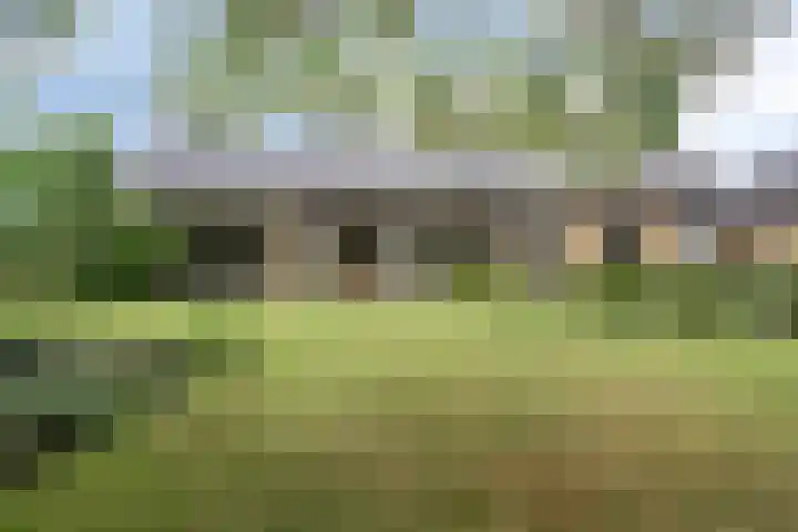 De Blaak 12 Eefde thumbnail 28