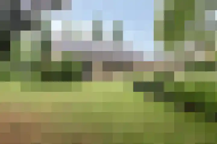 De Blaak 12 Eefde thumbnail 29