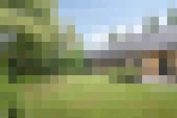 De Blaak 12 Eefde thumbnail 30