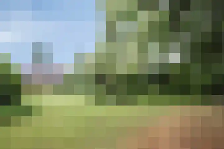 De Blaak 12 Eefde thumbnail 31